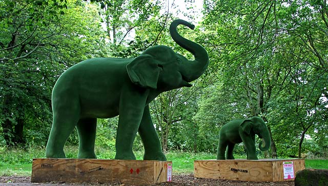 Jungle City Exhibition at Royal Botanic Garden, Edinburgh  -  August 2011