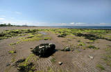 Seton Sands  -  looking to the west down the coast of the Firth of Forth, at low tide, towards Cockenzie Power Station