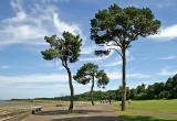 Looking to the east along Silverknowes Promenade