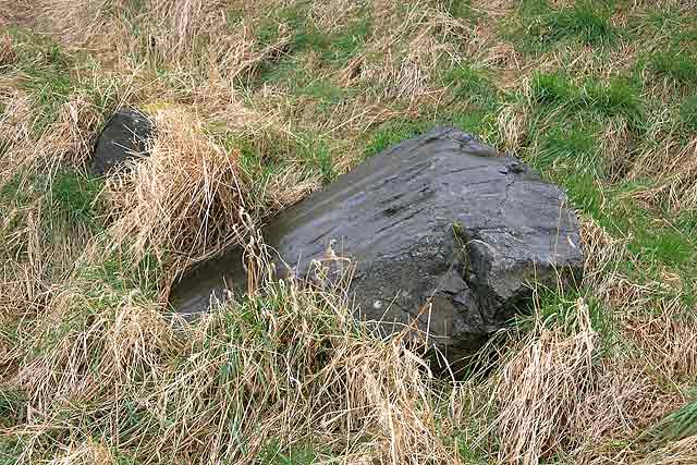 Holyrood Park  Looking to the NW towards the 'Slidey Stane' 