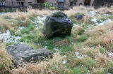 Holyrood Park  Looking to the SE near St Leonard's -  Is this the Slidey Stane?  No.