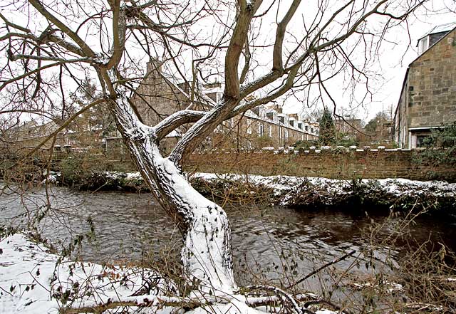 Looking south across the Water of Leith to Stockbridge Colonies from Rockheid Path  -  December 2009