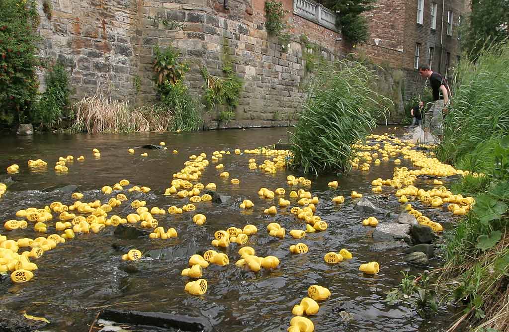 Stockbridge Duck Race, Water of Leith, Stockbridge  -  June 29, 2008