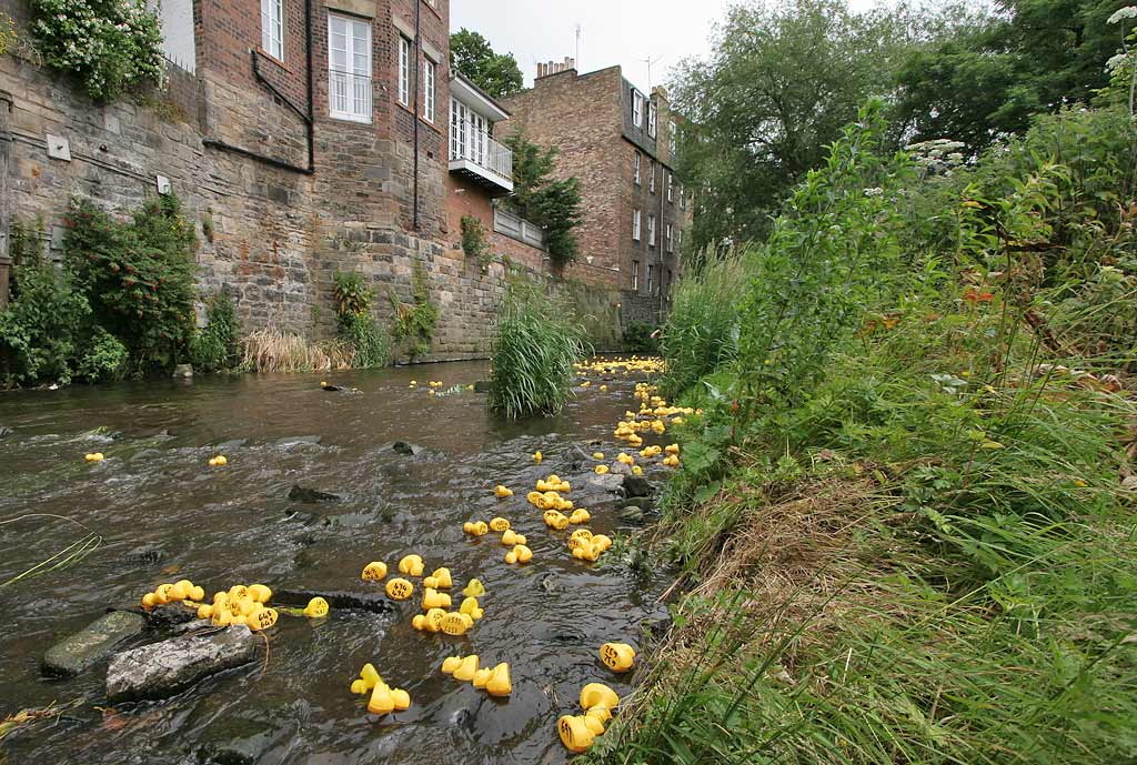 Stockbridge Duck Race, Water of Leith, Stockbridge - June 29, 2008