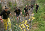 Stockbridge Duck Race, Water of Leith, Stockbridge  -  June 29, 2008