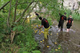 Stockbridge Duck Race, Water of Leith, Stockbridge  -  June 29, 2008