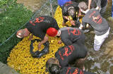 Stockbridge Duck Race, Water of Leith, Stockbridge  -  June 29, 2008