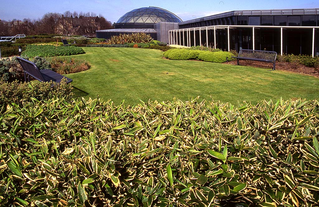 Tanfield House  -  Administration Offices for Standard Life  -  Rooftop Garden, 1993