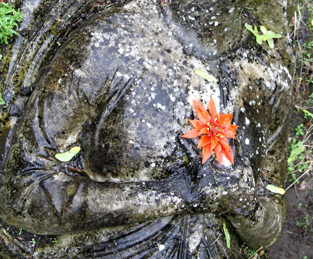 Warriston Cemetery  -  July 2010