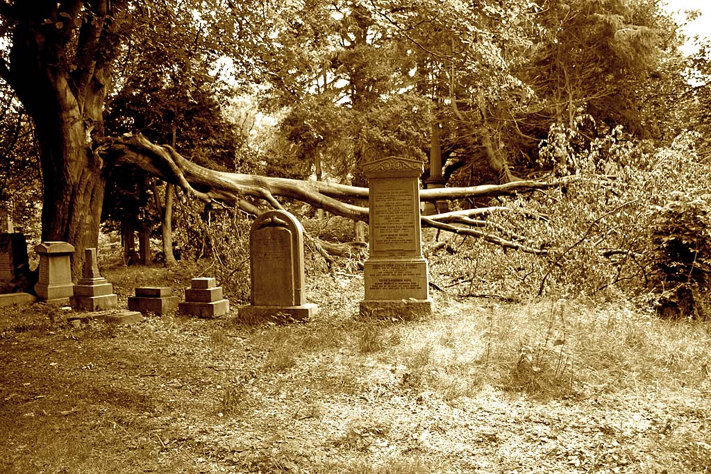 Warriston Cemetery  -  July 2010