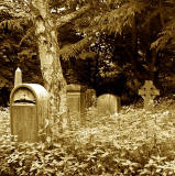 Warriston Cemetery  -  July 2010
