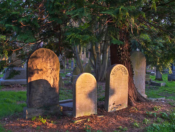 Photo taken by Allan Dodds, Nottingham, Nottinghamshire, England  -  Evening light at Warriston Cemetery, 2014