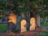 Photo taken by Allan Dodds, Nottingham, Nottinghamshire, England  -  Evening light at Warriston Cemetery, 2014