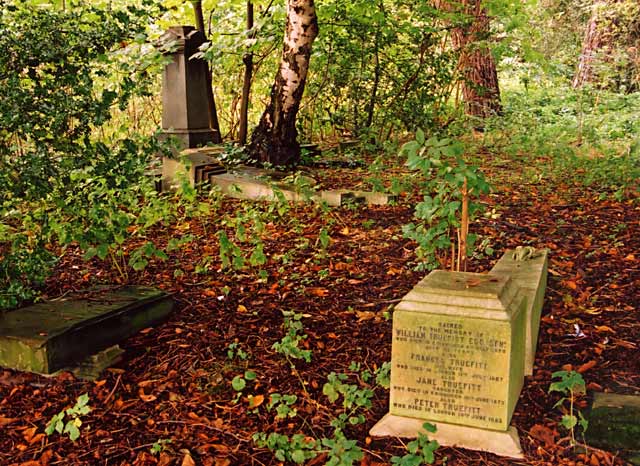 Photograph by Peter Stubbs  -  Edinburgh  -  Warriston Cemetery  -  Gravestone of Petr Truefitt