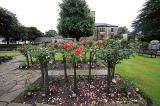 Warriston Crematorium Rose Garden