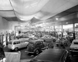 Waverley Market  -  Alexander's Motor Show  -  Ford Cars, 1952