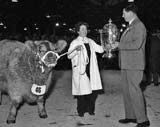 Waverley Market, Fat Stock Show, 1958 - Supreme Champion