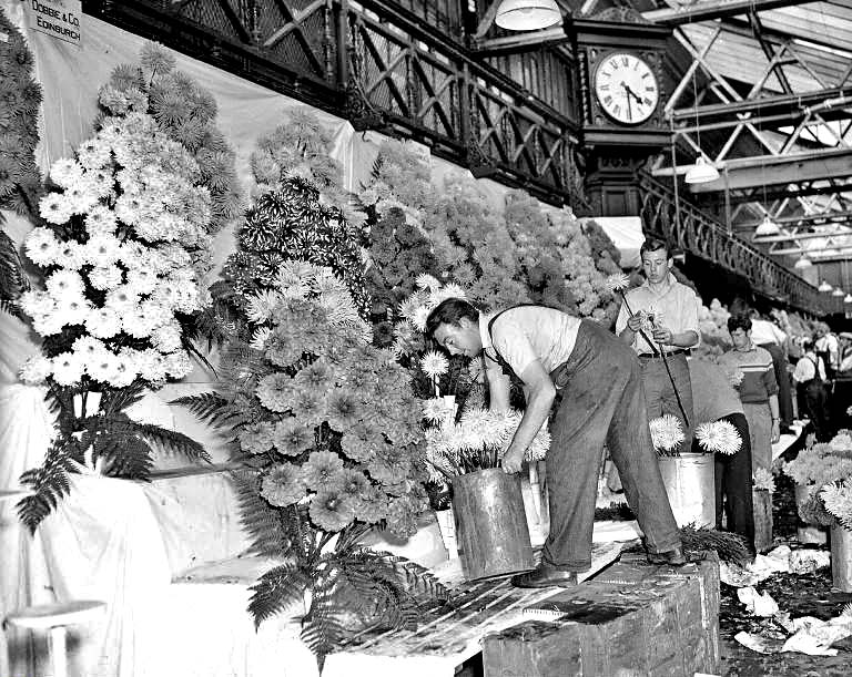 Dobbies Stand at the Flower Show at  Waverley Market - 1955