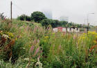 Edinburgh Waterfront  -  White Sheds and Gasometers  -  28 July 2002