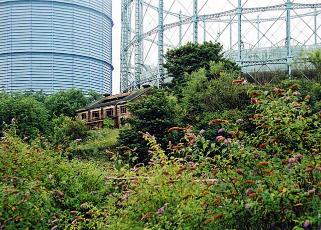 Edinburgh Waterfront  -  Gasometer and Derelict Building  -  28 July 2002