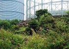 Edinburgh Waterfront  -  Derelict Building and Gasometers  -  28 July 2002