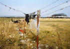 Edinburgh Waterfront  -  Barbed Wire  -  Looking towards Middle Pier  -  26 March 2002