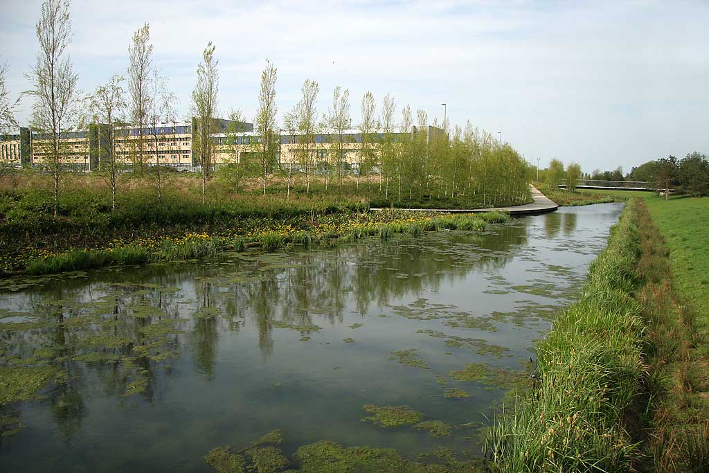 Forth Quarter Park  -  a new park under construction at Edinburgh Waterfront  -  2006