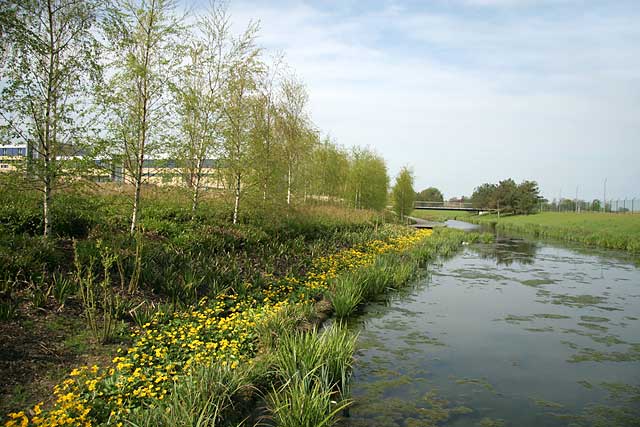 Forth Quarter Park  -  a new park under construction at Edinburgh Waterfront  -  2006