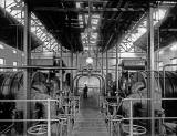 Granton Gas Works  -  Figure in the Works  -  c.1903