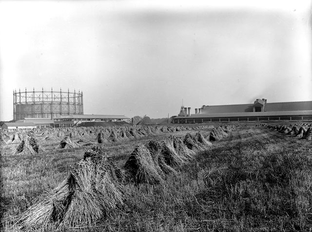 Granton Gas Works  -  Gas Holder and Hay Stacks  -  1903