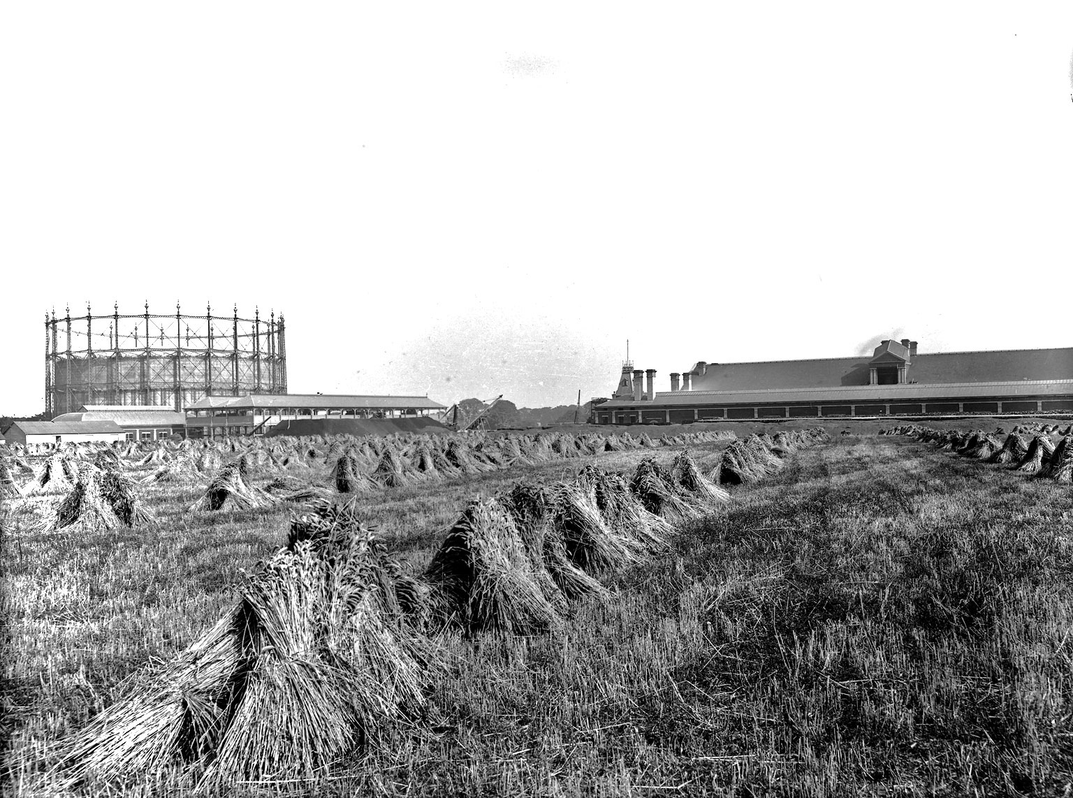 Granton Gas Works  -  Gas Holder and Hay Stacks  -  1903