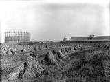 Granton Gas Works, Gas Holder and Hay Stacks  -  1903