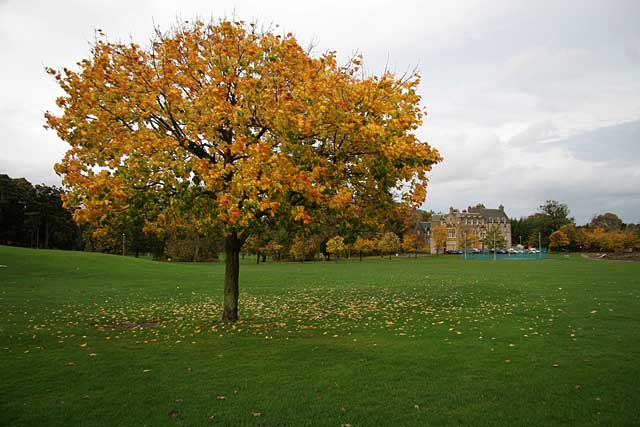 Inch House, Inch Park  -  Photographed 30 October 2005 