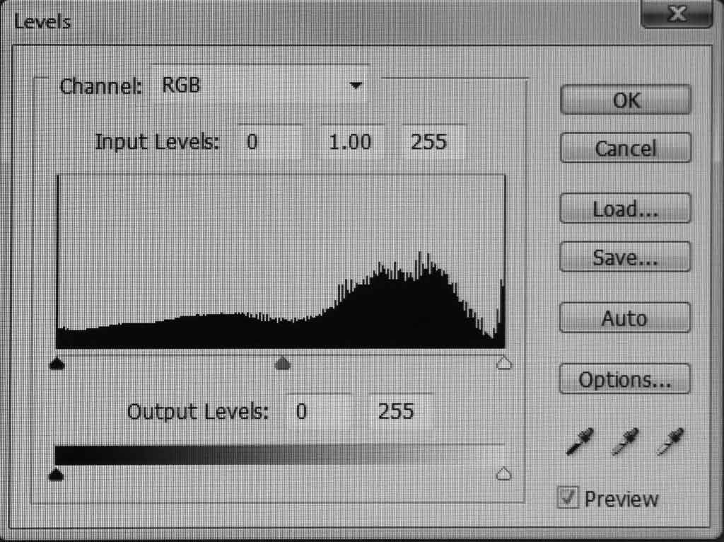 Photograph of Lamb's House - Correct Exposure - Levels Chart