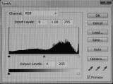 Photograph of Lamb's House  -  Correct Exposure  -  Levels Chart