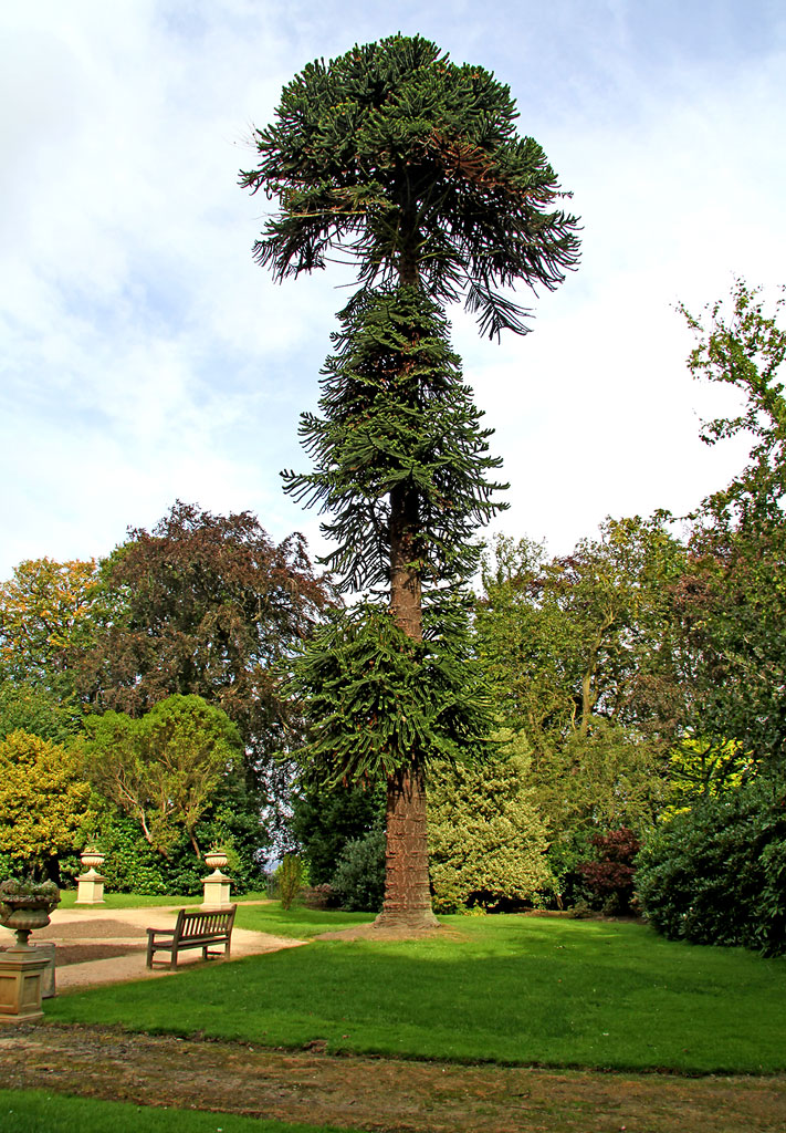 Lauriston Castle, Edinburgh  -  September 2012