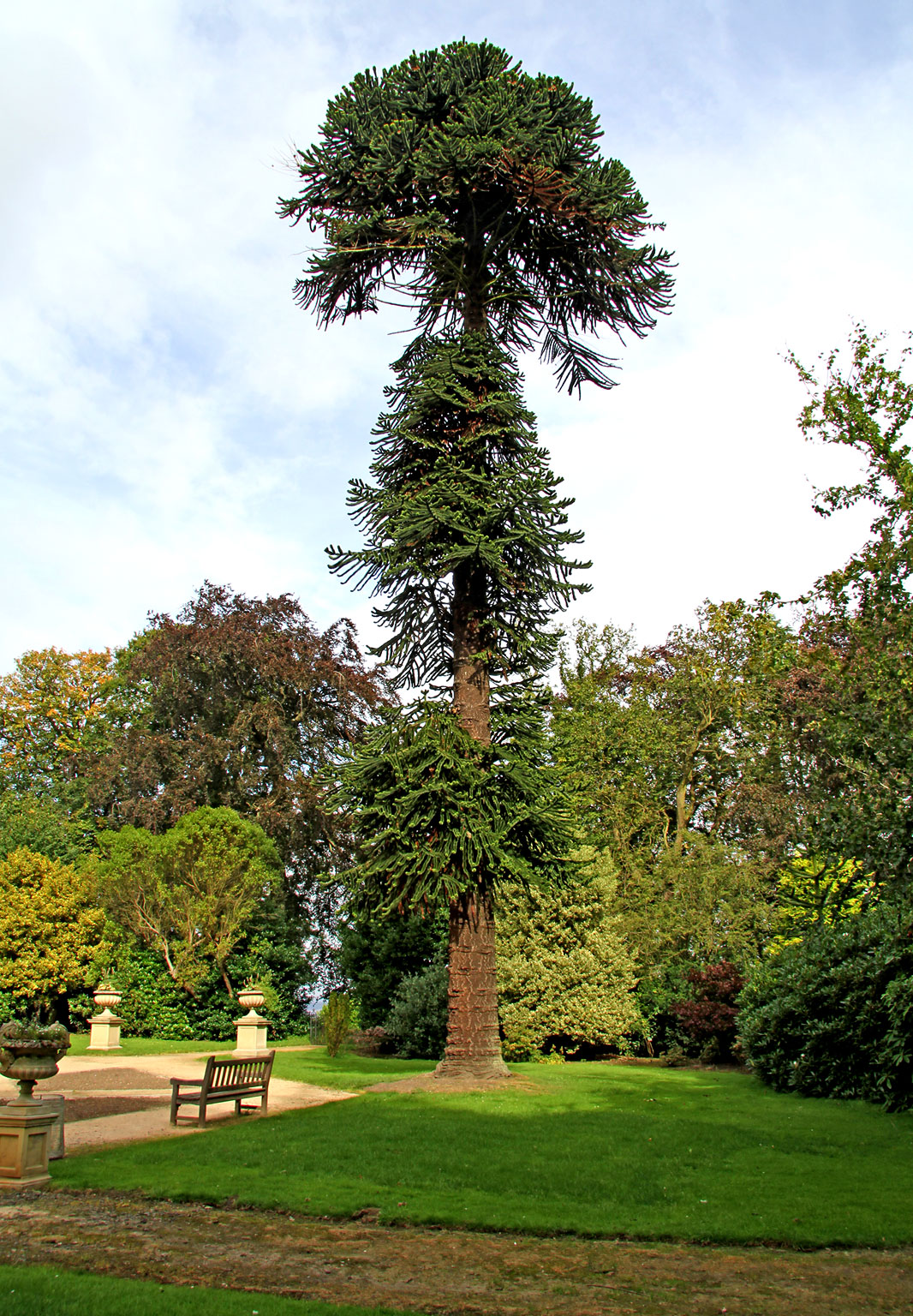 Lauriston Castle, Edinburgh  -  September 2012