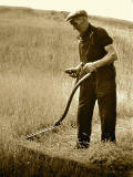 Willie the Scythe at Liberton Filtration Plant, around 1969