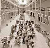 Inside the Royal  Museum, Chamber Street, Edinburgh  -  2008