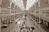 Inside the Royal  Museum, Chamber Street, Edinburgh  -  2008