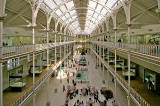 Inside the Royal  Museum, Chamber Street, Edinburgh  -  2008