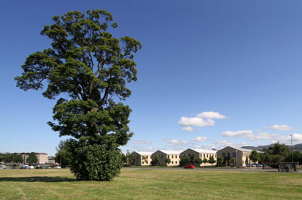 Saughton House, Government Buildings in Broomhouse Drive