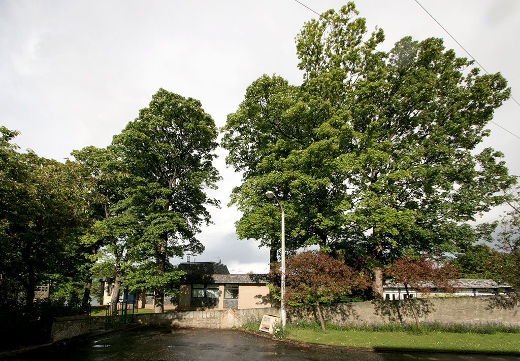 View from the west, looking towards St Columba's Hospice and sopme of the trees in the grounds.