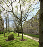 Tanfield house with trees and commemorative stone  -  2012