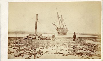 Carte de visite by Adam Diston - Outmost Beacon