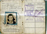 World War II  -  Travel Permit Card -  Pages