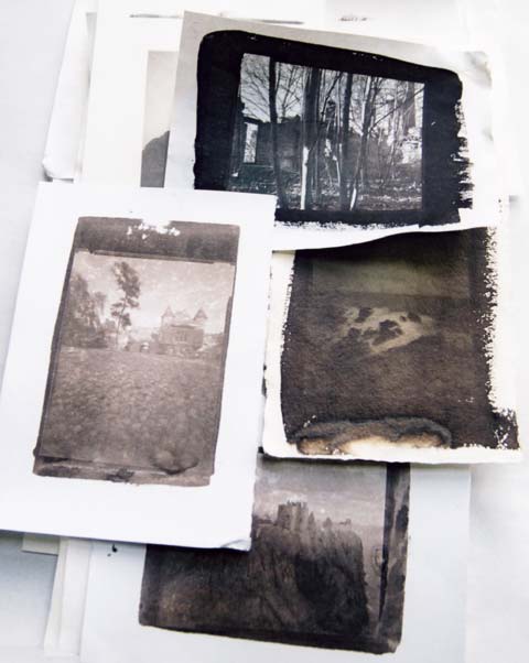 Van Dyke prints, printed by Norma Thallon at Hospitalfield House  -  2003