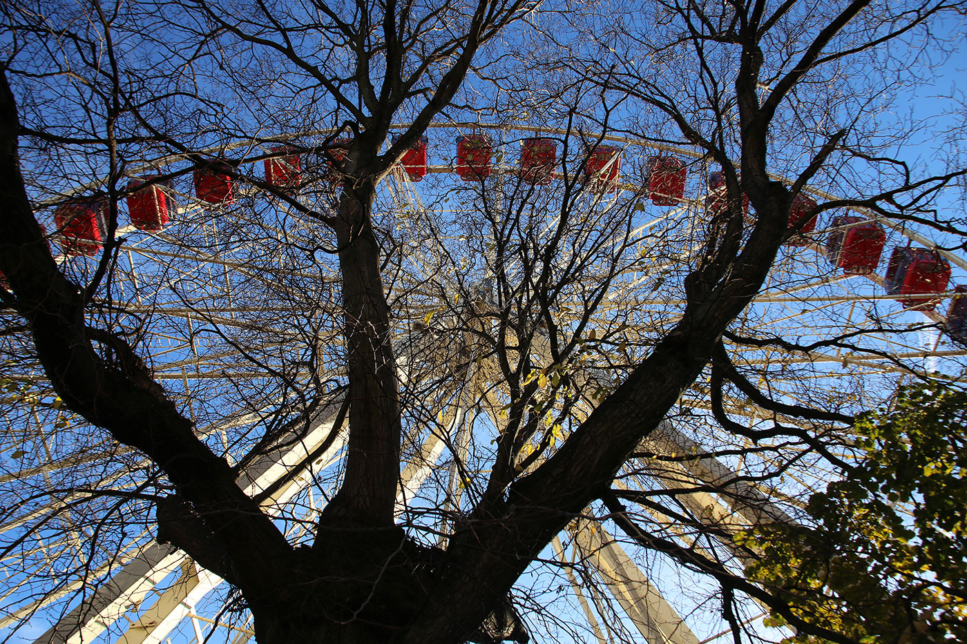 Edinburgh's Christmas 2013  -  The Edinburgh Wheel in East Princes Street Gardens