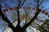 Edinburgh's Christmas 2013  -  The Edinburgh Wheel in East Princes Street Gardens