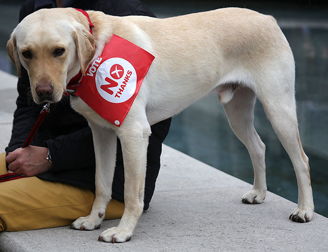 Photos taken in Edinburgh on voting day in the  Scottish Indepemdence Referendum on 18 September 2014  -  Outside the Scottish Parliament